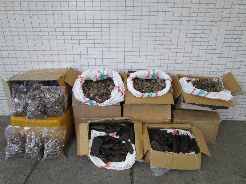 香港海关昨日（四月二十五日）在落马洲管制站一辆入境货车上检获约二十九公斤怀疑乾海马、一百五十四公斤怀疑穿山甲鳞片及五十二公斤怀疑沉香木材，估计市值约六十万元。